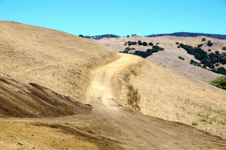 The Good Samaritan Isn't Who You Think He Is