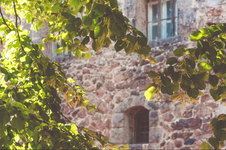 Winning Through Weakness